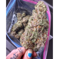 shesmokesjoints:  Blackberry kush is always one of my favorites ^_^