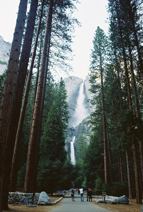 brutalgeneration:  Tumblr on We Heart It - http://weheartit.com/entry/47865622/