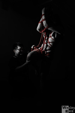 tightsmaniac:  Shibari works done by me Photographer: Wesley 
