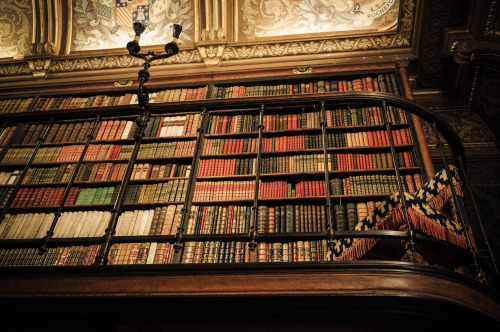 marlessa: Magnificent book cabinet in the Château de Chantilly 