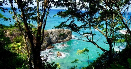 trinbagoculture: Turtle Rock. North Coast. Trinidad and Tobago. Turtle Rock is a fifty foot peninsul