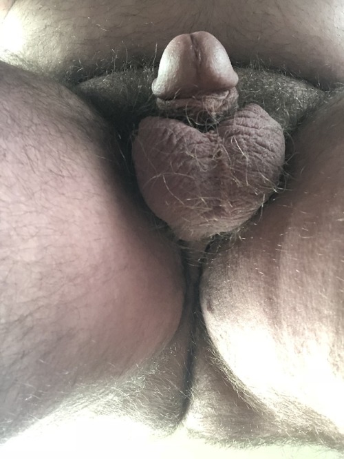 hairyfatso: chubbycub78:Pre and post trim pictures www.hairyfatso.tumblr.com