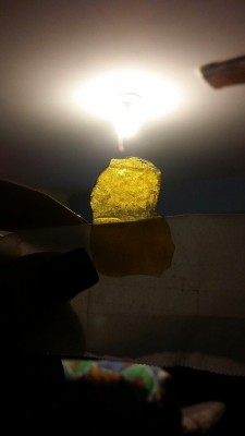 dabbin-fairy:  Some dank shatter from Denver