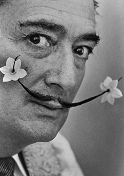 badmamaskarma:  Dali by Philippe Halsman 