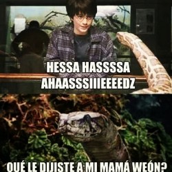 alwaysbysnape:  #HarryPotter  #HP #Snake  #Zoo #Weon #Funny #Mother #Hogwarts