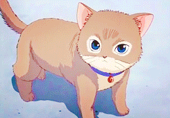 ilovekawaiifashion:  My reaction when I see any cat (ahaha exactly like Kaidoh)