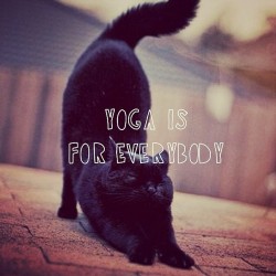 y0ga-fl0w:  Love yoga? Then follow y0ga-fl0w on Tumblr.