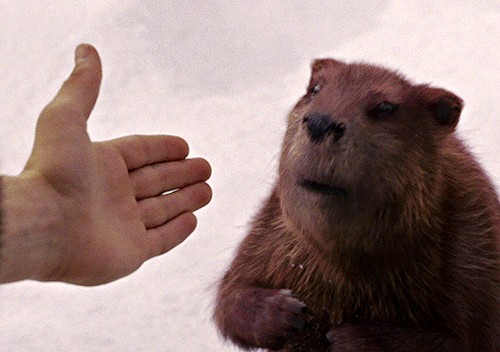The Chronicles Of Narnia: The Lion, The Witch And The Wardrobe (2005) Dir. Andrew Adamson