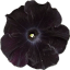 theyeartwothousandone