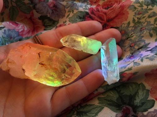 stolenfootprints: The morning sun and my window crystals are turning my clear Quartz rainbow