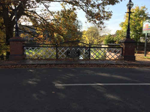 Autumn walks (Robin hood road, Surrey)