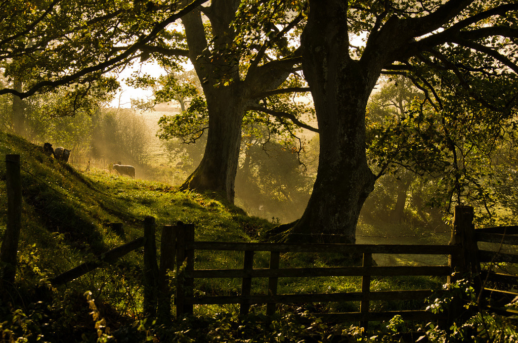 allthingseurope:  Wales (by Pixellie) 