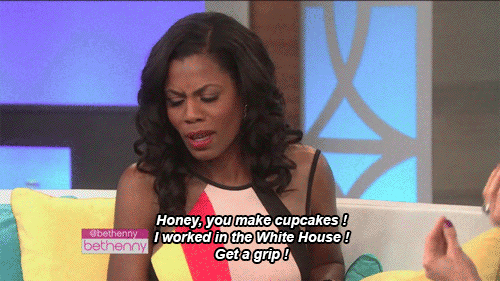 apris1992:  brandiglanville: Omarosa Manigault on Bethenny Frankel show.  Legendary