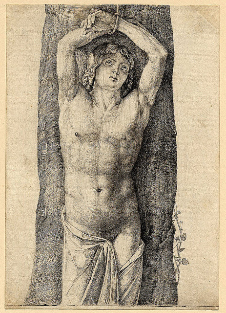 Sex Jacopo de Barbari pictures