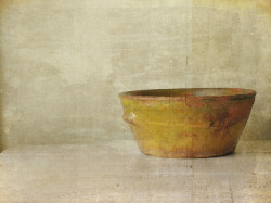 margadirube: araknesharem:Bowl by raewillow