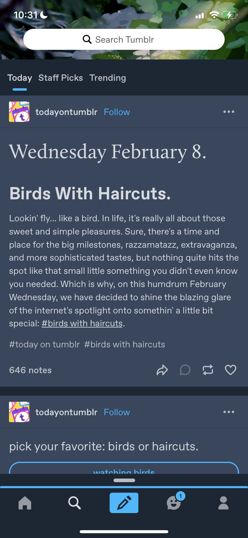 Tumblr media