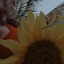 estragosqueaansiedadecausa