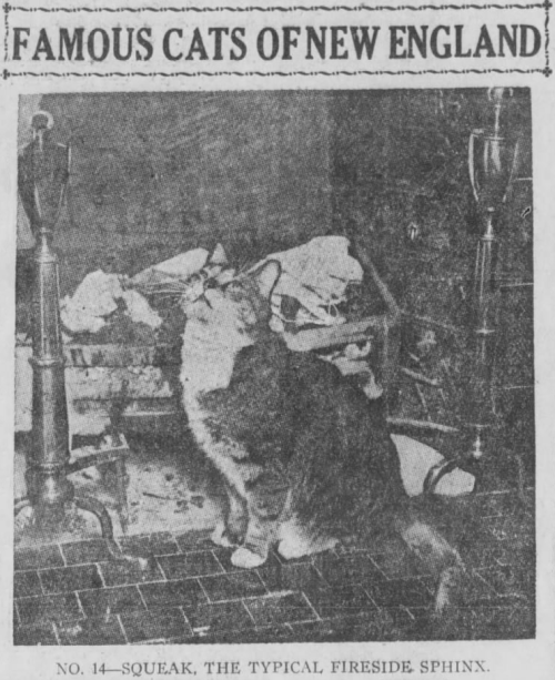 yesterdaysprint:Boston Post, Massachusetts, December 22, 1920