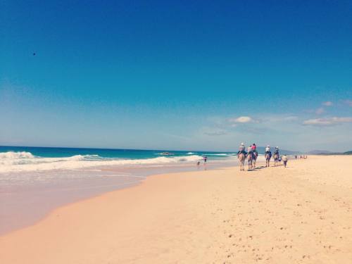  #portmacquarie #lighthousebeach #sun #surf #sand #home (at Light House Beach, Port Macquarie)