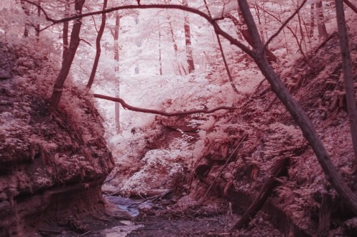 bonyfisheye:  Visible Light vs Infrared photos from Starved Rock State Park in Illinois