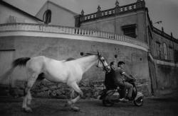 2000-lightyearsfromhome:  Cristina Garcia RoderoSPAIN. Galicia. Vigo. 1987. The horse that bathes in the sea.