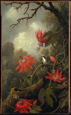 art-mysecondname: Martin Johnson Heade Martin Johnson Heade (American, 1819-1904), Hummingbird and Passionflowers, ca. 1875-85; oil on canvas, 51x30 cm; The Met