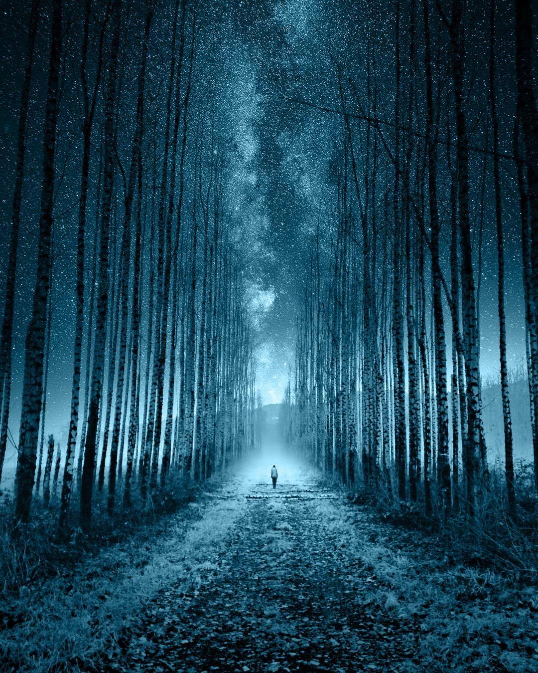essenceofnatvre: Moody Blues by jordansteranka  