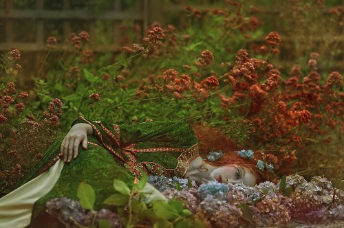 lamus-dworski:Fairytale world photographed by Agnieszka Lorek.