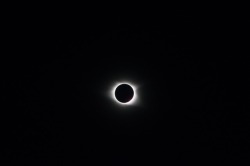 tshifty:My top 2 pictures from the eclipse, what an indescribable moment.