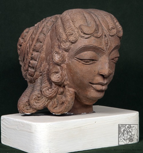Parvati head, Gupta period terracotta