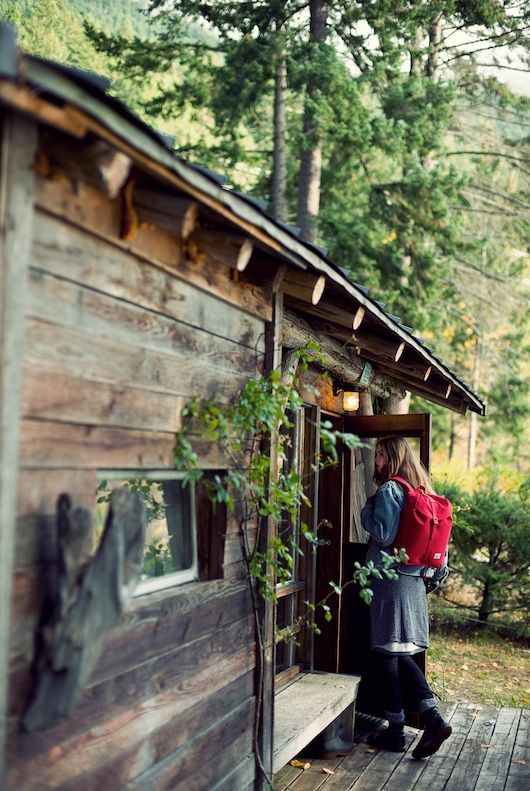tumhblr:  eartheld:  mostly nature  nature / vintage