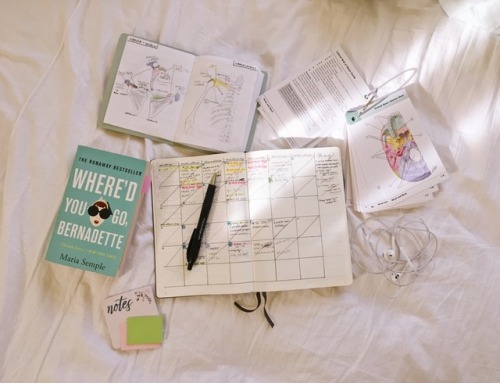  Summer essentials:summer class study materials bullet journal headphones current read