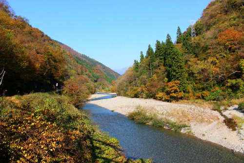 20171105（日,sun）打波川（県道173号線）uchinami river