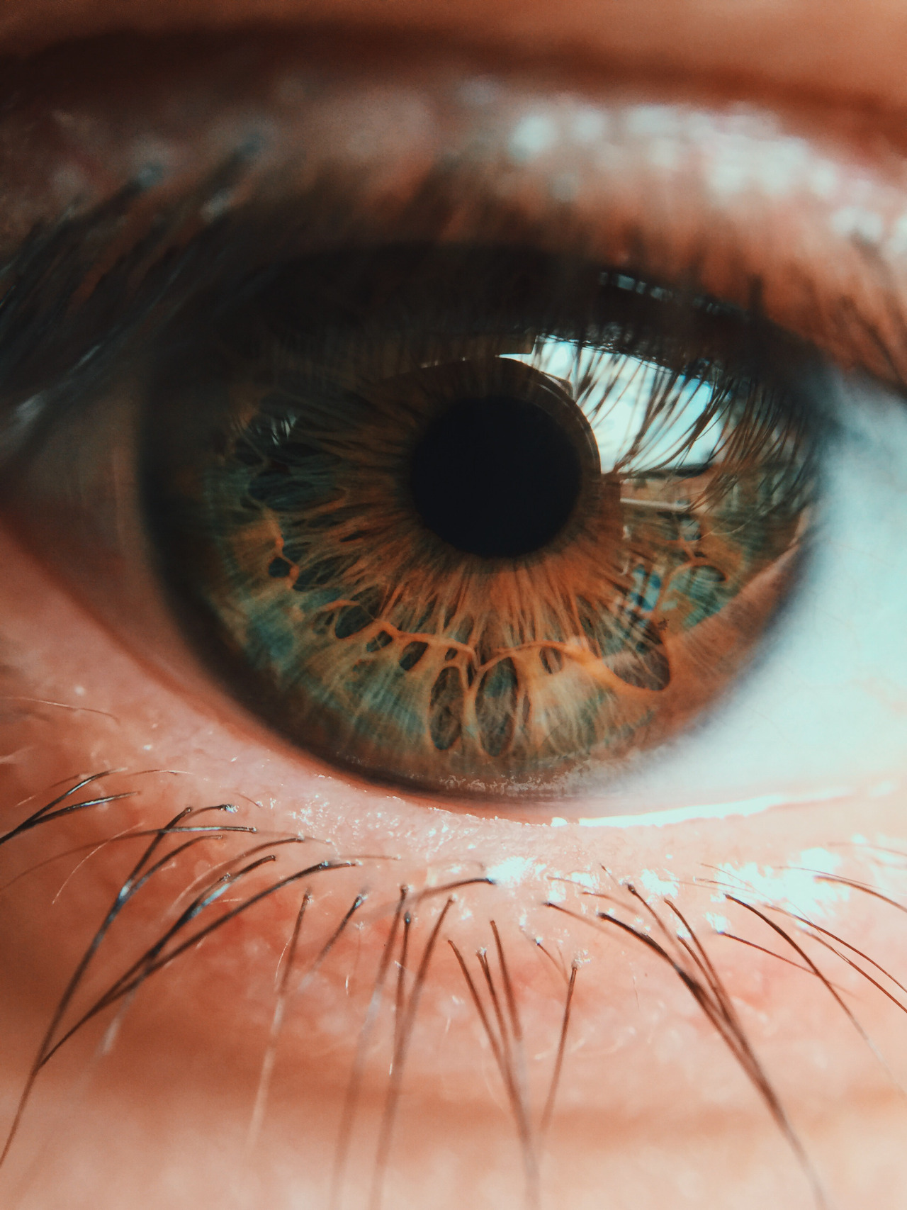 the-real-eye-to-see:    The first condition of progress is the removal of censorship.