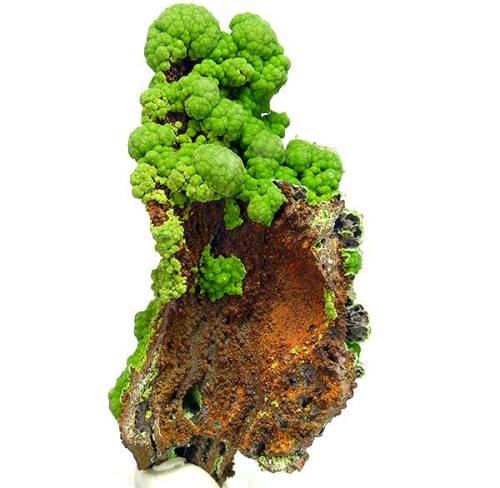Conichalcite The beauty of copper minerals never seems to be exhausted, and the distinctive grassy y