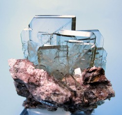 pearl-nautilus:  Cluster of transparent, almost colorless tabular BARITE crystals on matrix. Huánuco, Peru 
