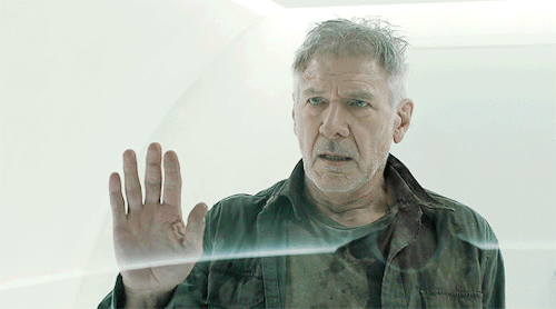 fyeahmovies:   We’re all just looking out for something real.     Blade Runner 2049 (2017)dir. Denis Villeneuve   