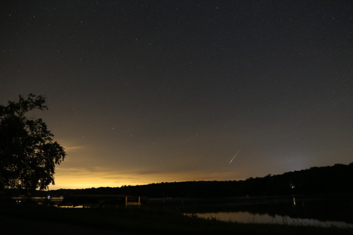 One of the better shots of the Persieds from Coventry, CT … click on the picture to see the r