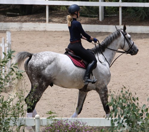 celebs-dailyus:  Iggy Azalea riding a horse in Los Angeles - May 27 