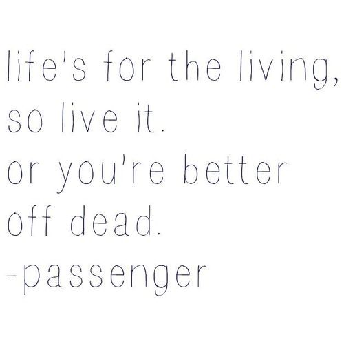 silly-luv:  ♡ find your best posts on my blog ♡