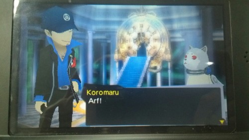 dimensionslip:junpei pls