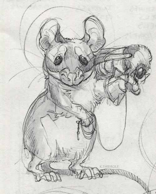 Porn photo rowkey:  Some quick mouse form/anatomy practice-