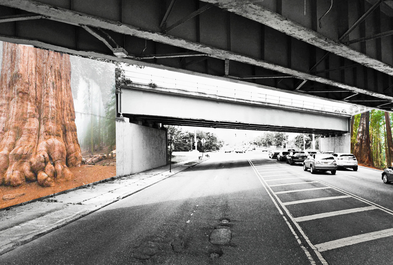 “Audience With a Tree” Staten Island, NYC, 2019
Proposal for a mural installation conceived by artist Jana Cruder