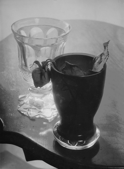 Still-life with roseJosef Sudek