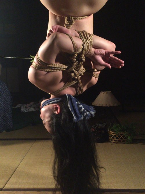 justscreenshots:  Shibari Naka AkiraModel Hotaru Mori