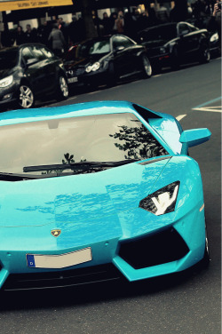 erikaamoonique:  exclusive-pleasure: Aventador