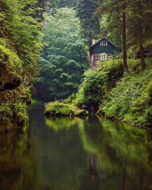 underthelindens - Idyllic forest cabin in Switzerland