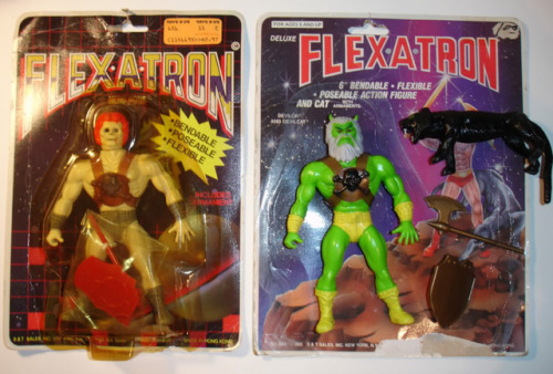 The Flexatron knockoff action figure line. My favorite is the green devil, who looks very informed b