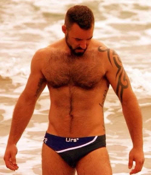 BACKFUR - Hairy/bear/horny/daddy