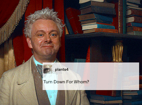 Mum Said It’s My Turn To Do The Good Omens + Text Posts Meme Pt. 5 (pt.1 / pt.2 / Pt.3 / Pt.4)
